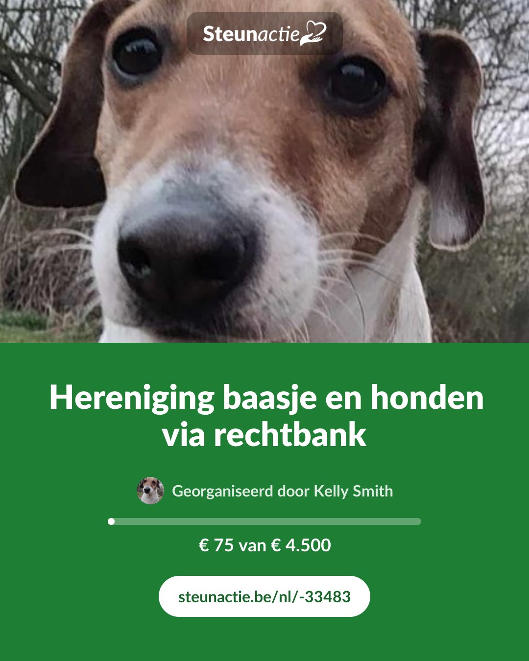 Voorbeeld van de afbeelding
