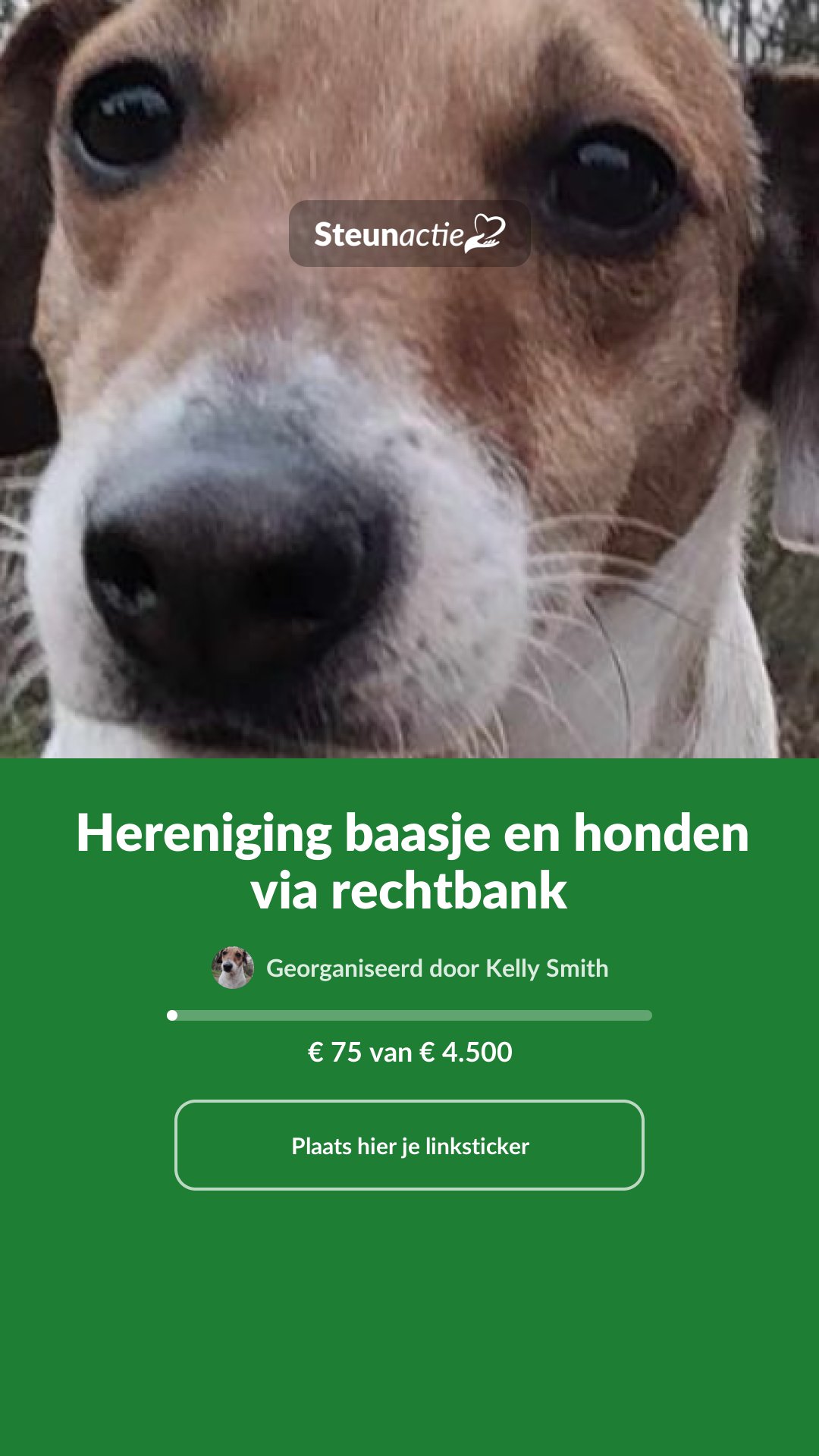 Voorbeeld van de afbeelding