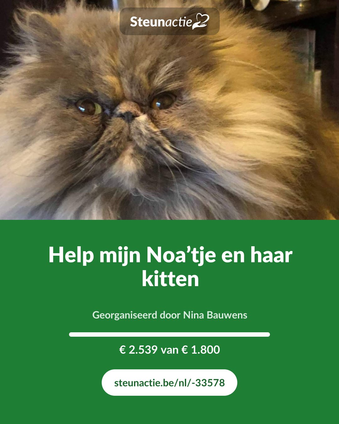 Voorbeeld van de afbeelding