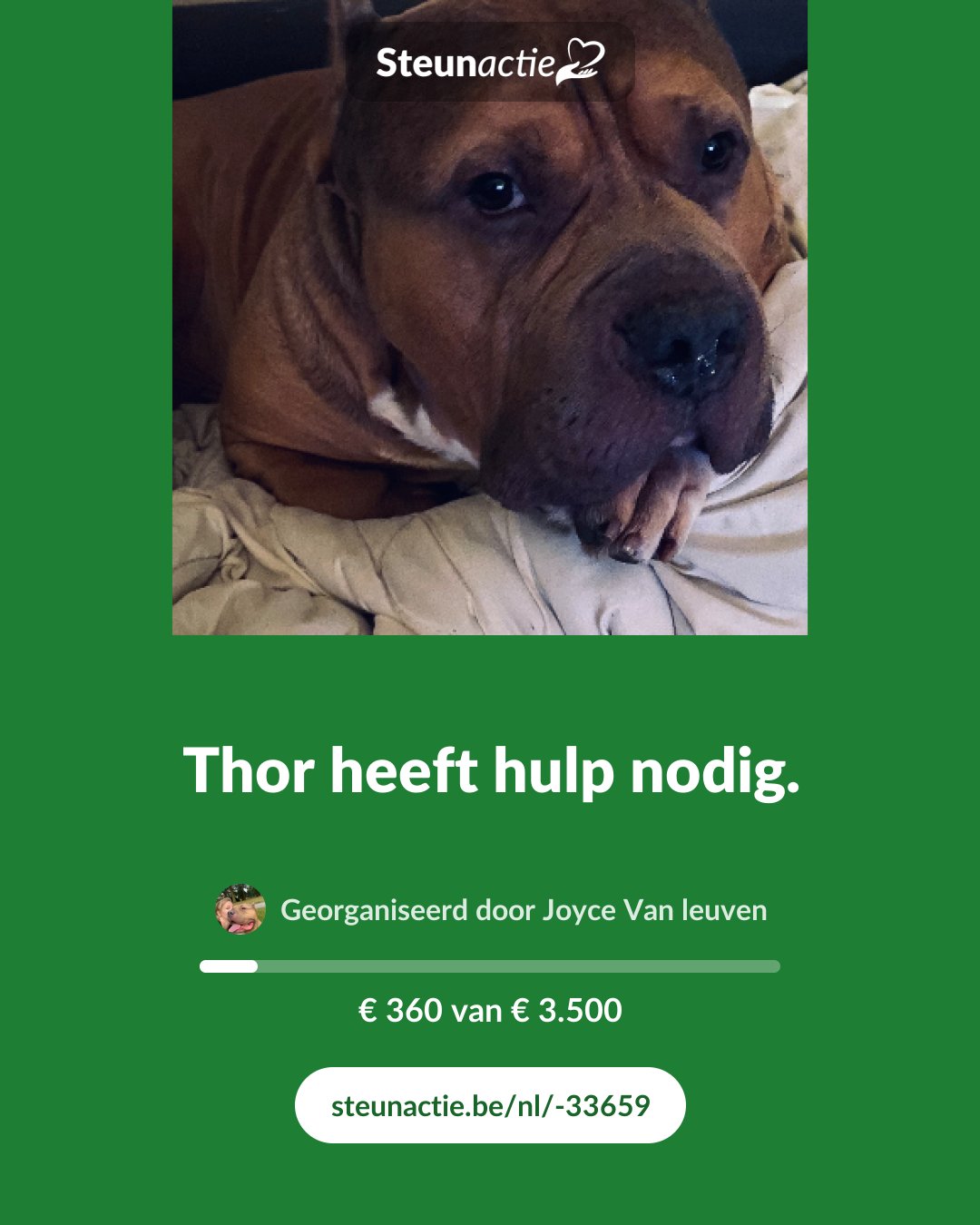 Voorbeeld van de afbeelding