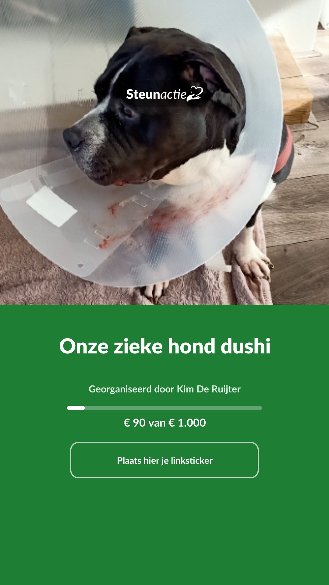 Voorbeeld van de afbeelding