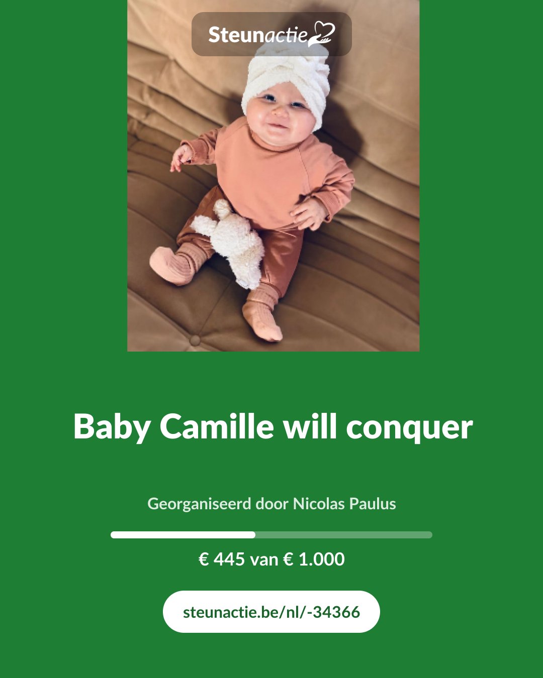 Voorbeeld van de afbeelding