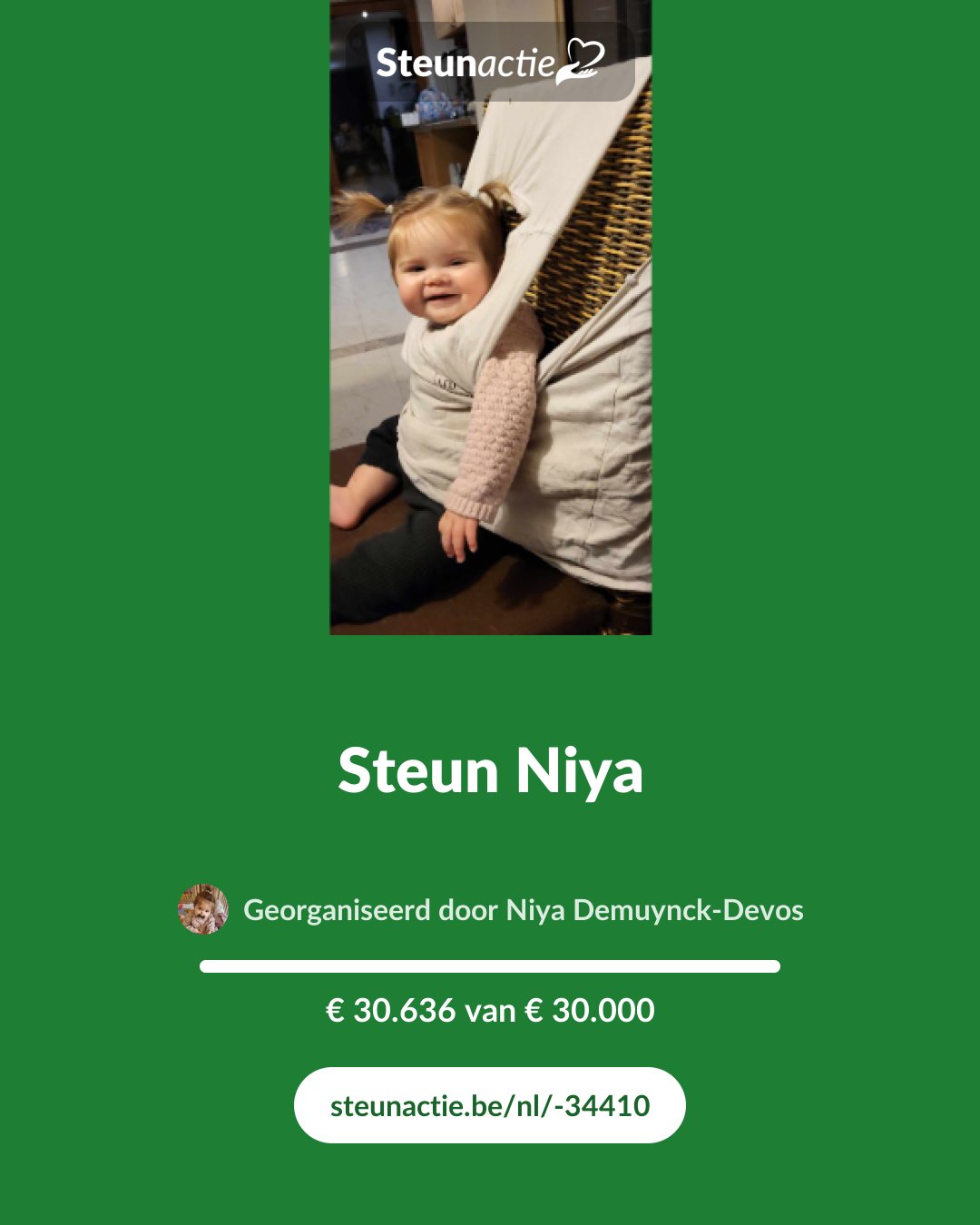 Voorbeeld van de afbeelding