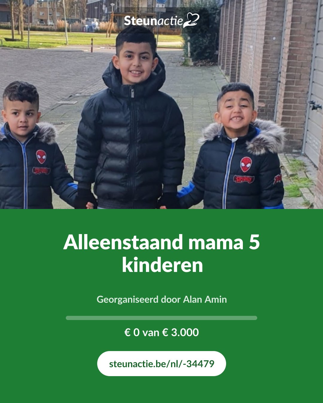 Voorbeeld van de afbeelding