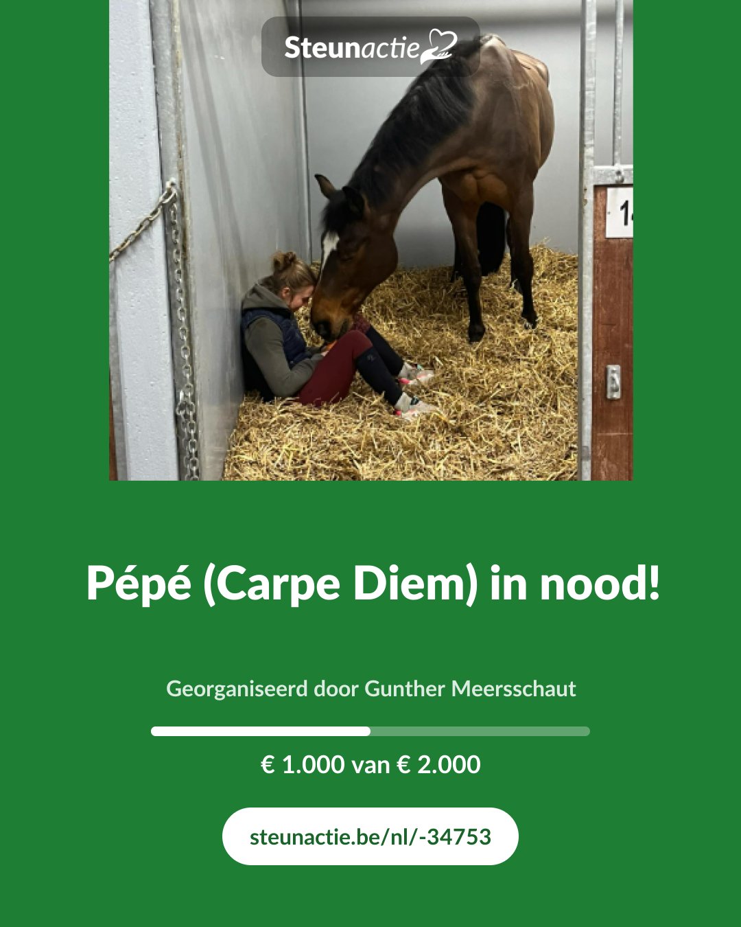 Voorbeeld van de afbeelding
