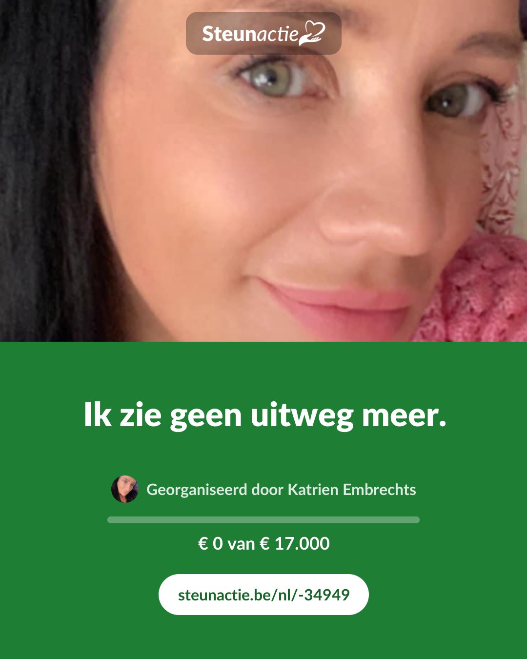 Voorbeeld van de afbeelding