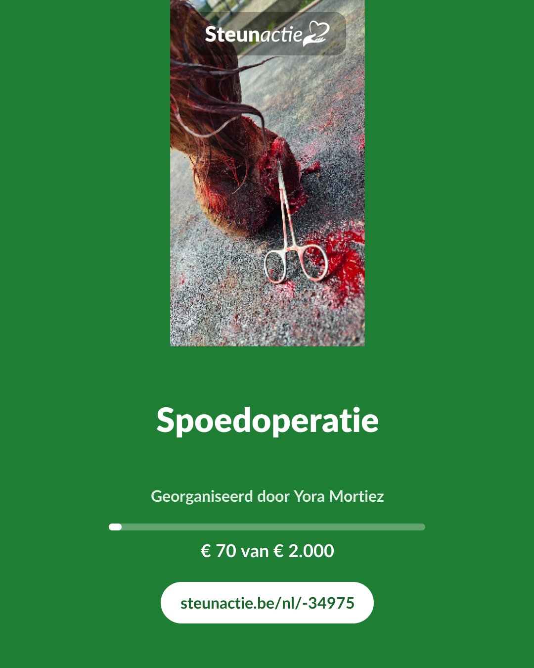 Voorbeeld van de afbeelding
