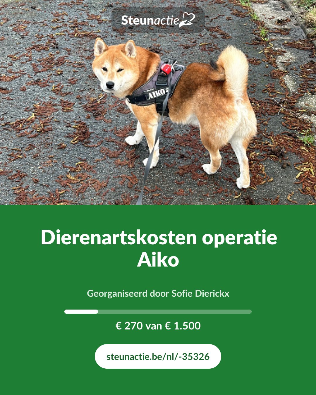 Voorbeeld van de afbeelding