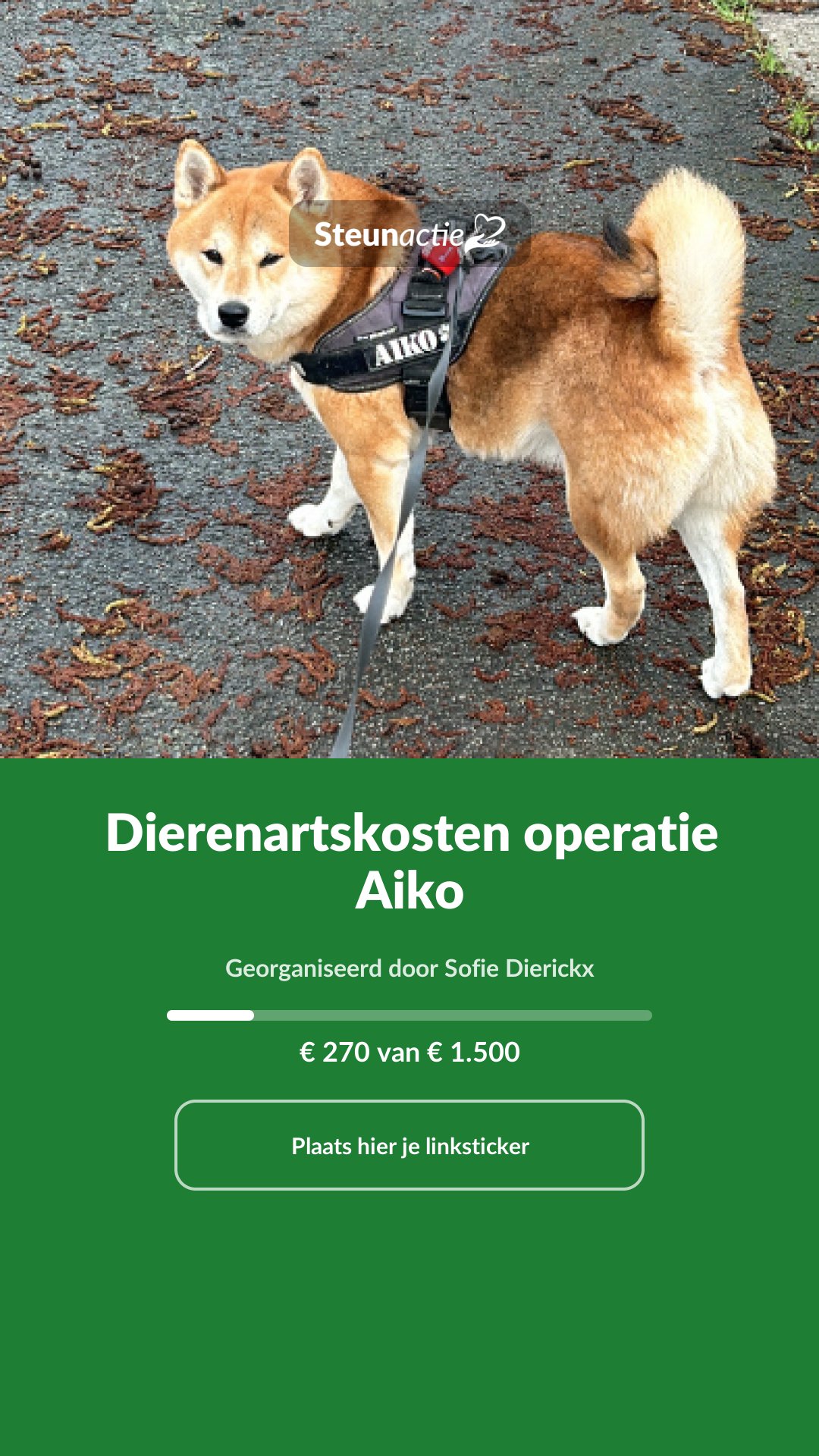 Voorbeeld van de afbeelding