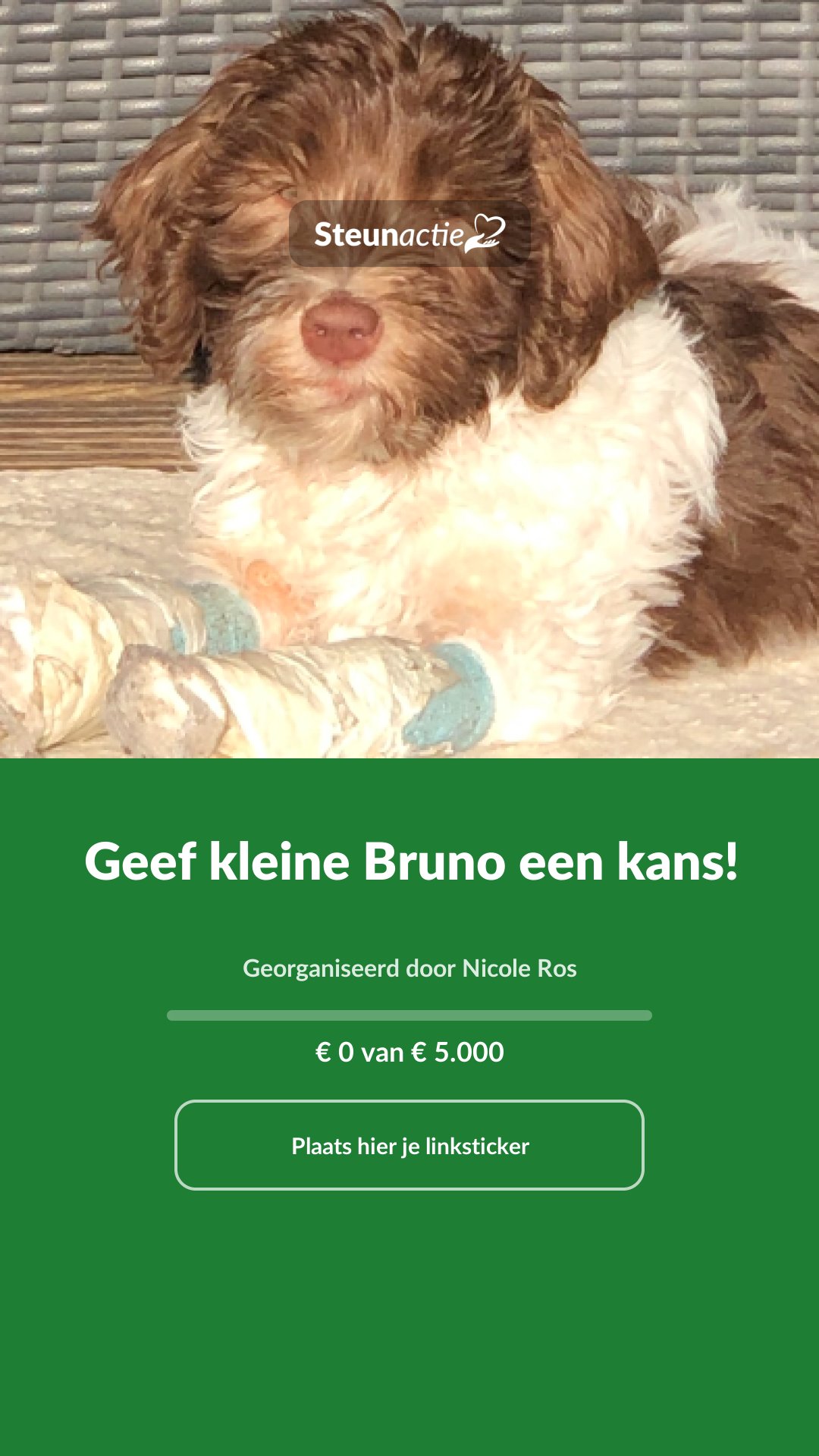 Voorbeeld van de afbeelding