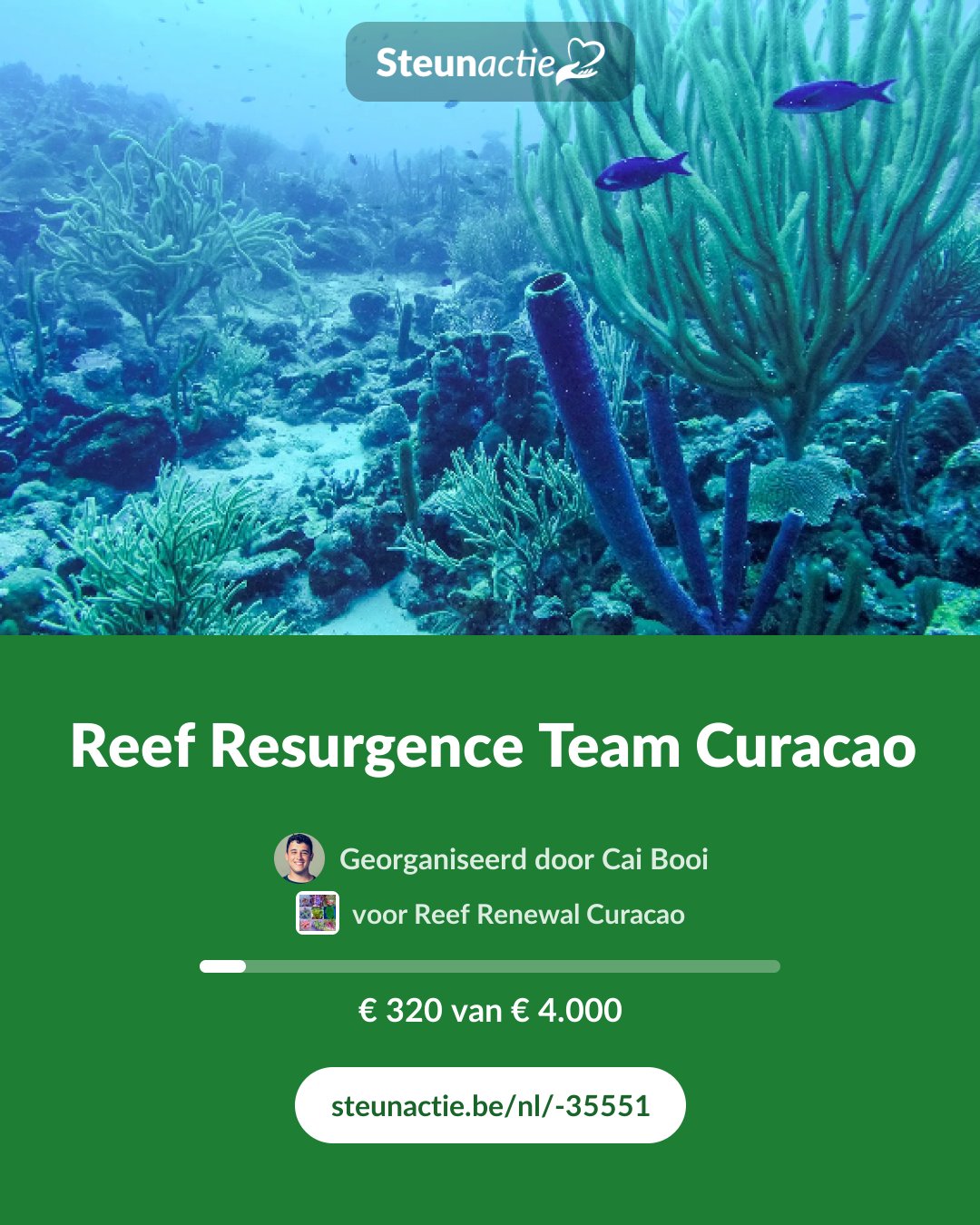 Voorbeeld van de afbeelding