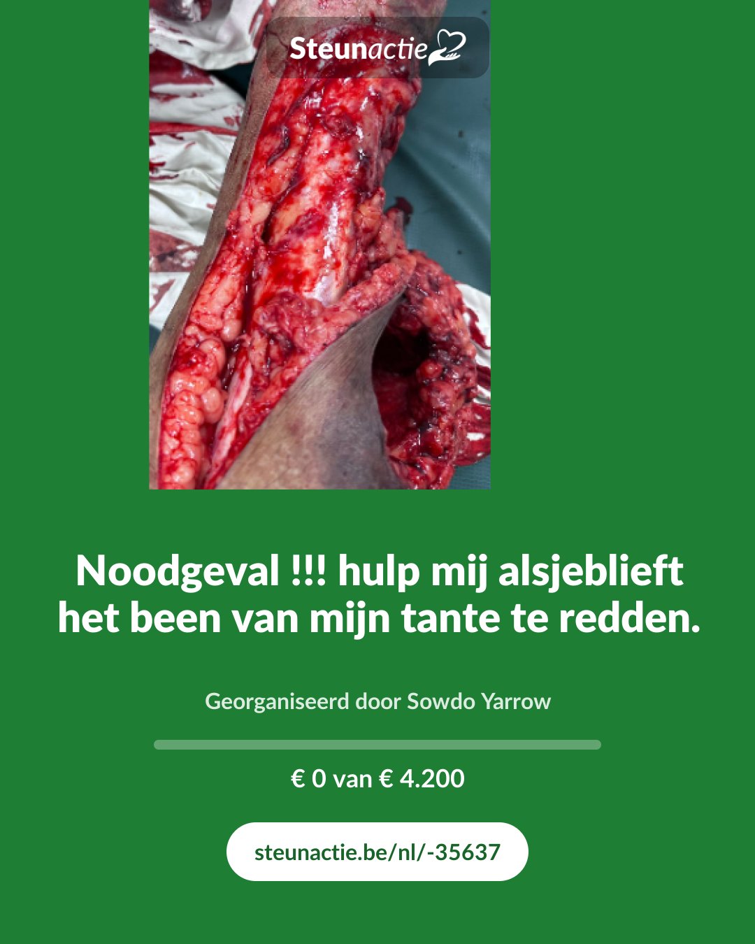 Voorbeeld van de afbeelding