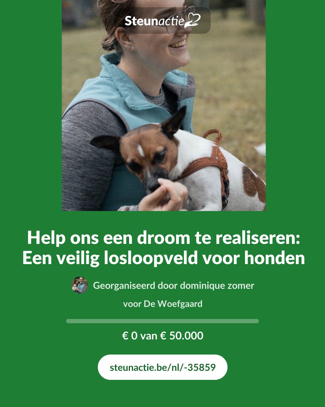Voorbeeld van de afbeelding