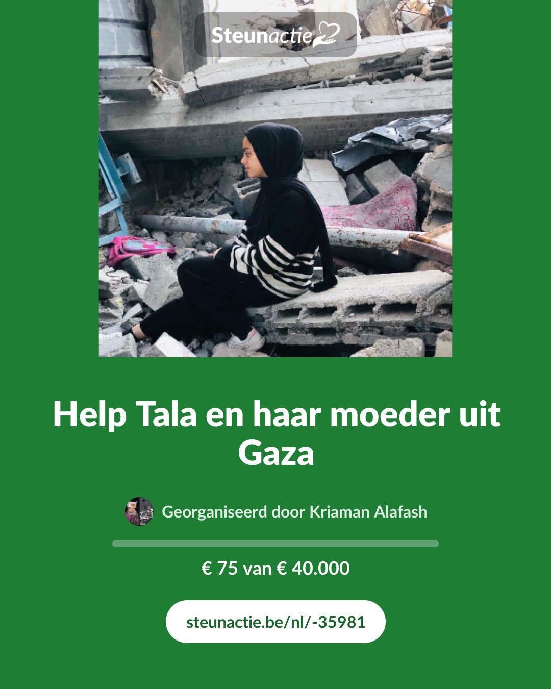 Voorbeeld van de afbeelding