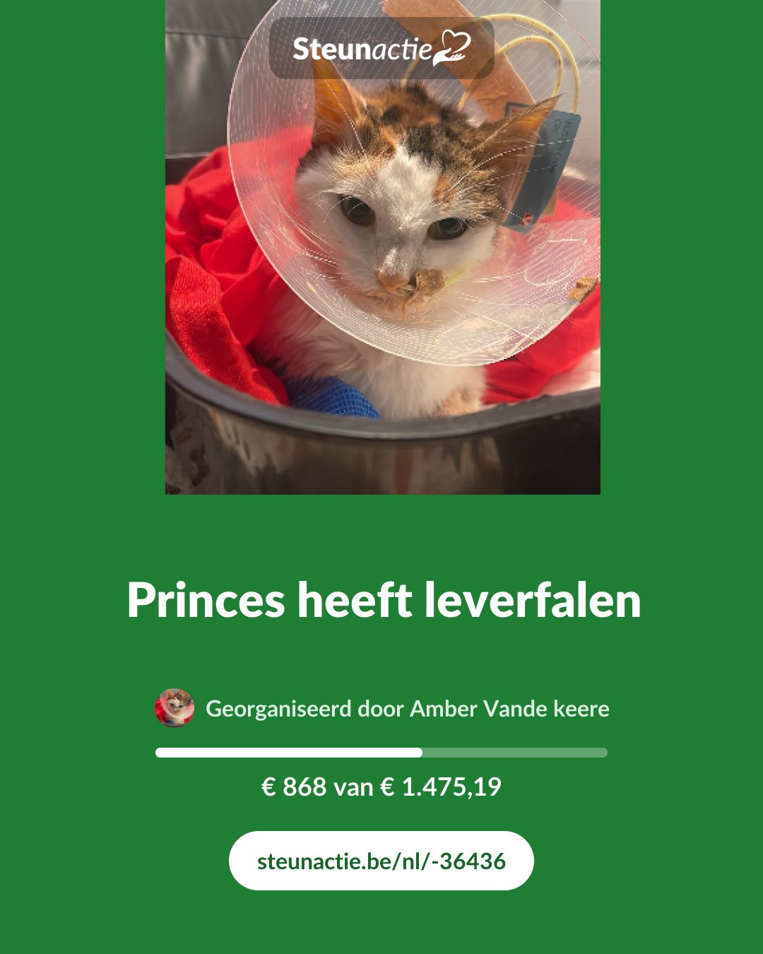 Voorbeeld van de afbeelding