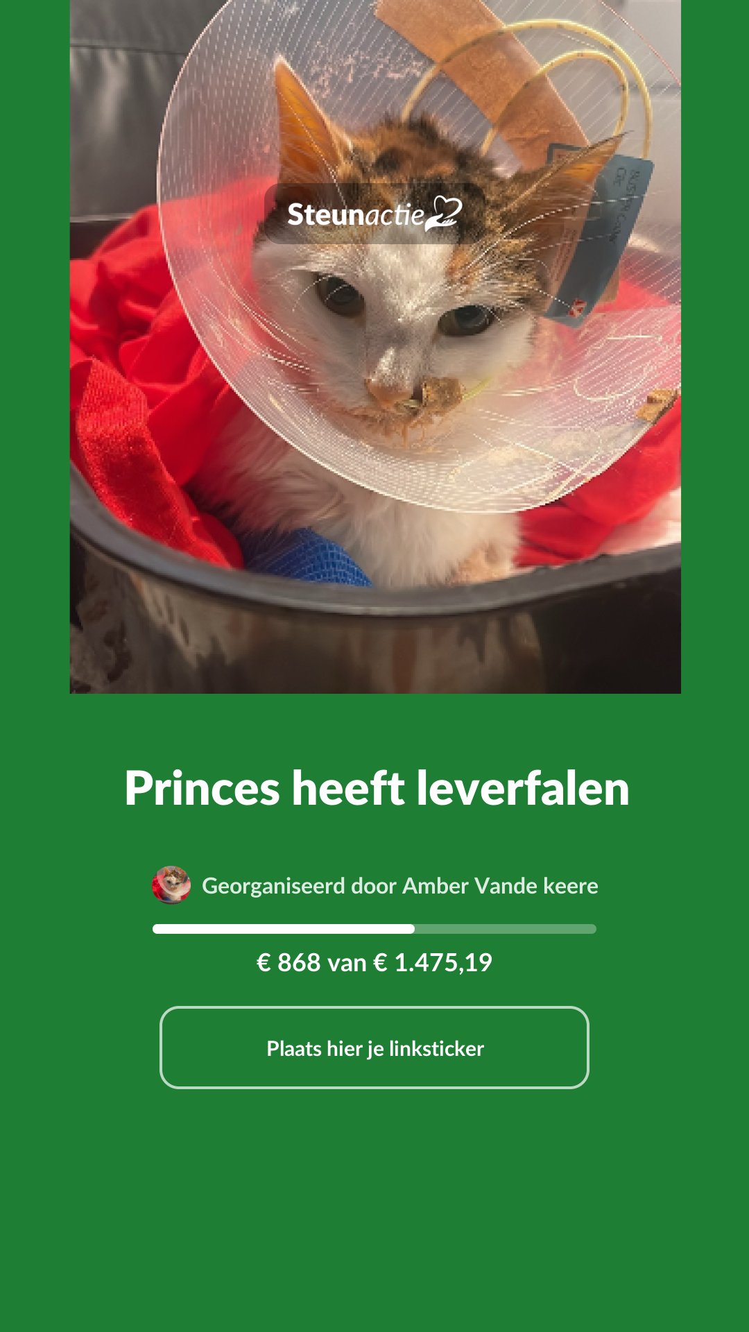 Voorbeeld van de afbeelding