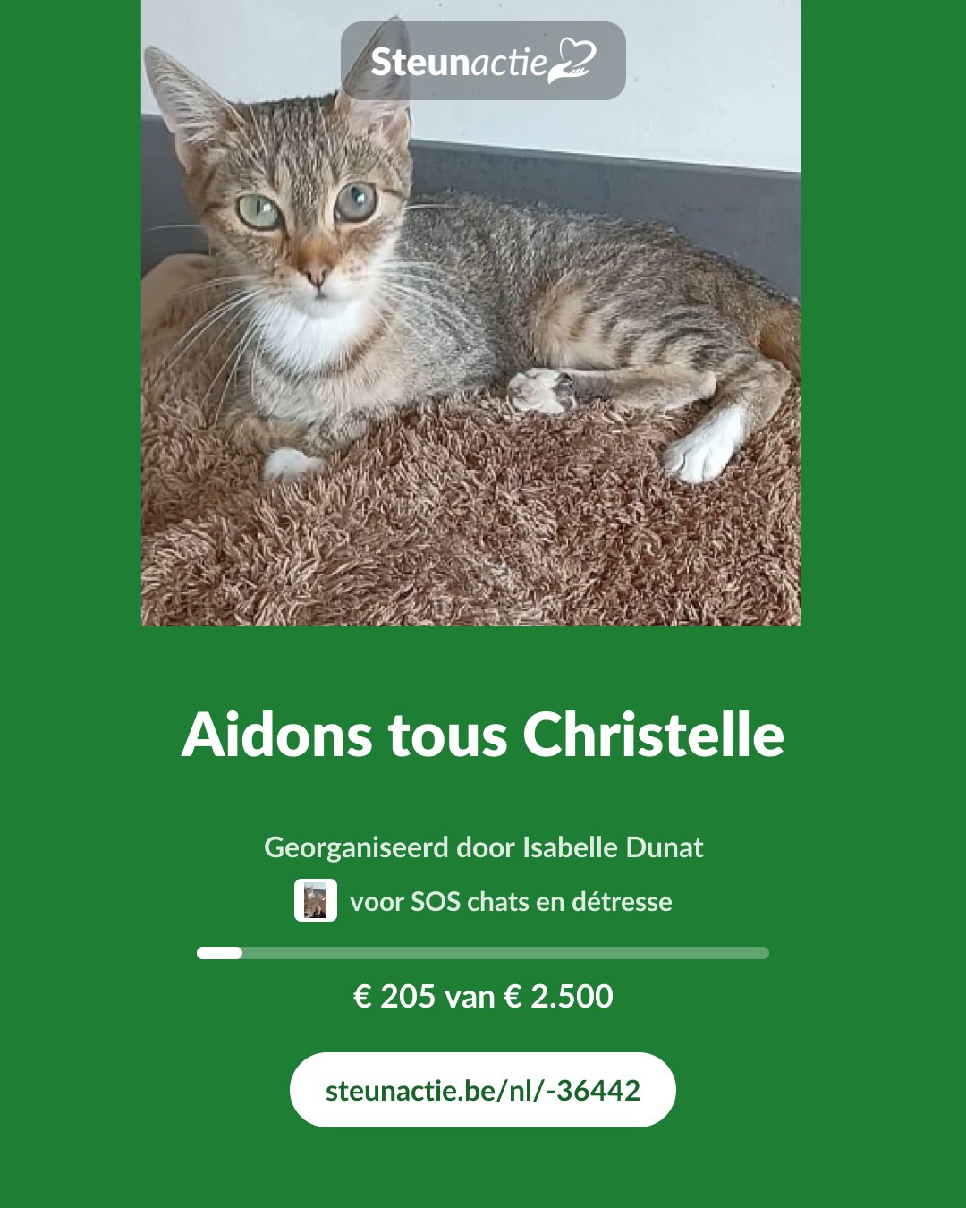 Voorbeeld van de afbeelding