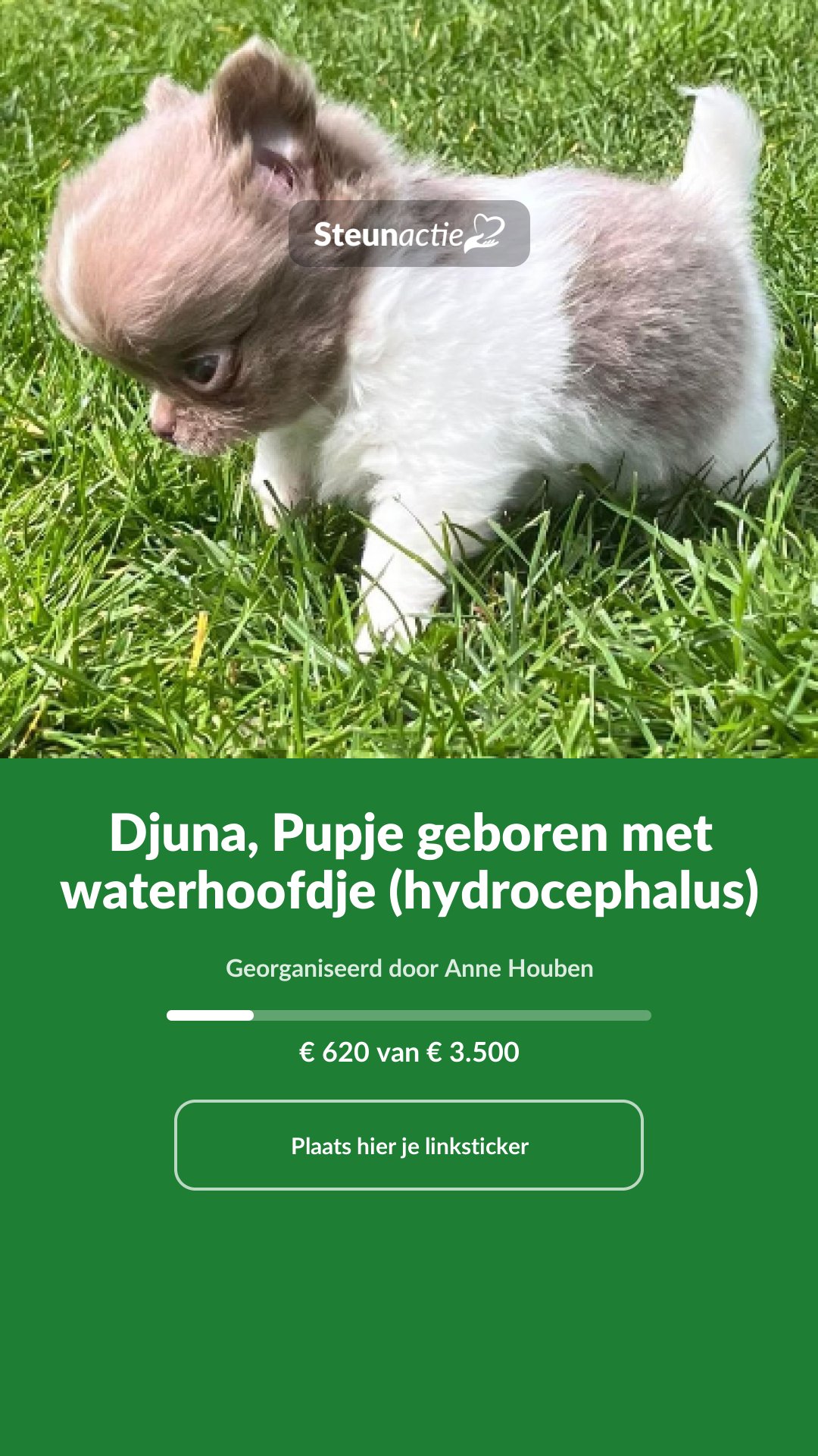 Voorbeeld van de afbeelding