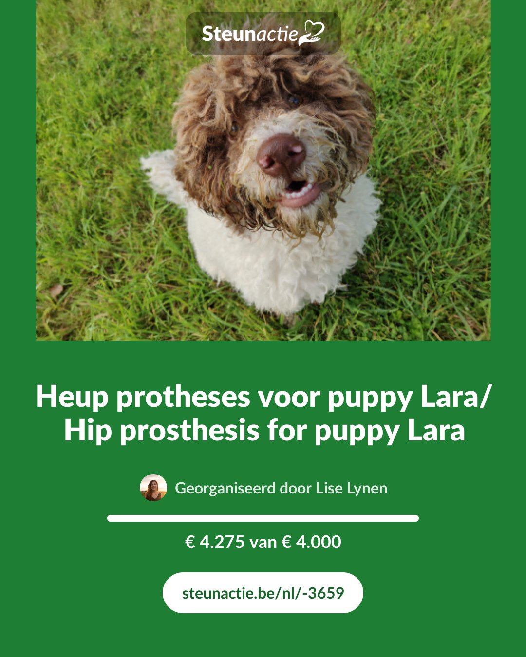 Voorbeeld van de afbeelding