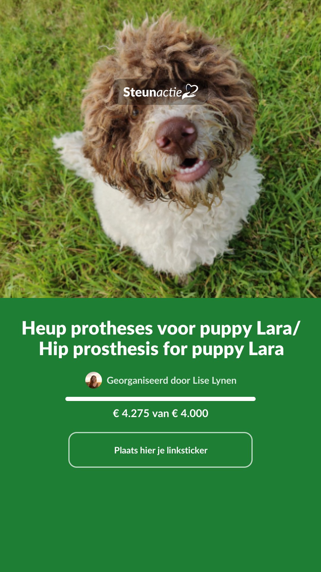 Voorbeeld van de afbeelding