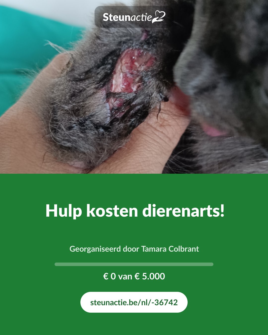 Voorbeeld van de afbeelding