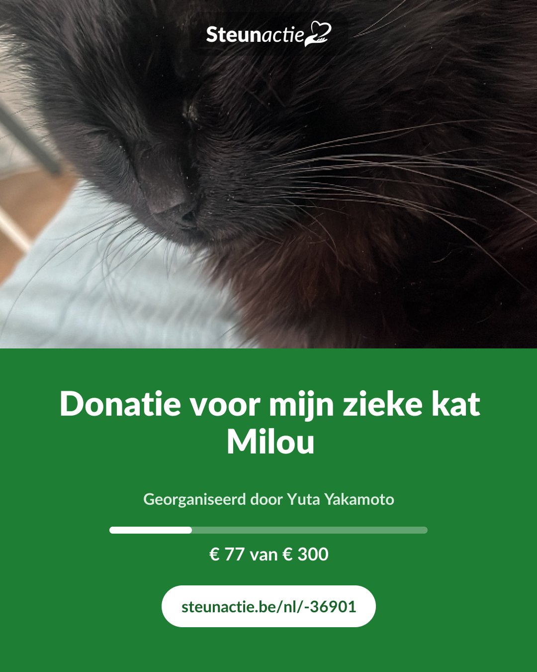 Voorbeeld van de afbeelding