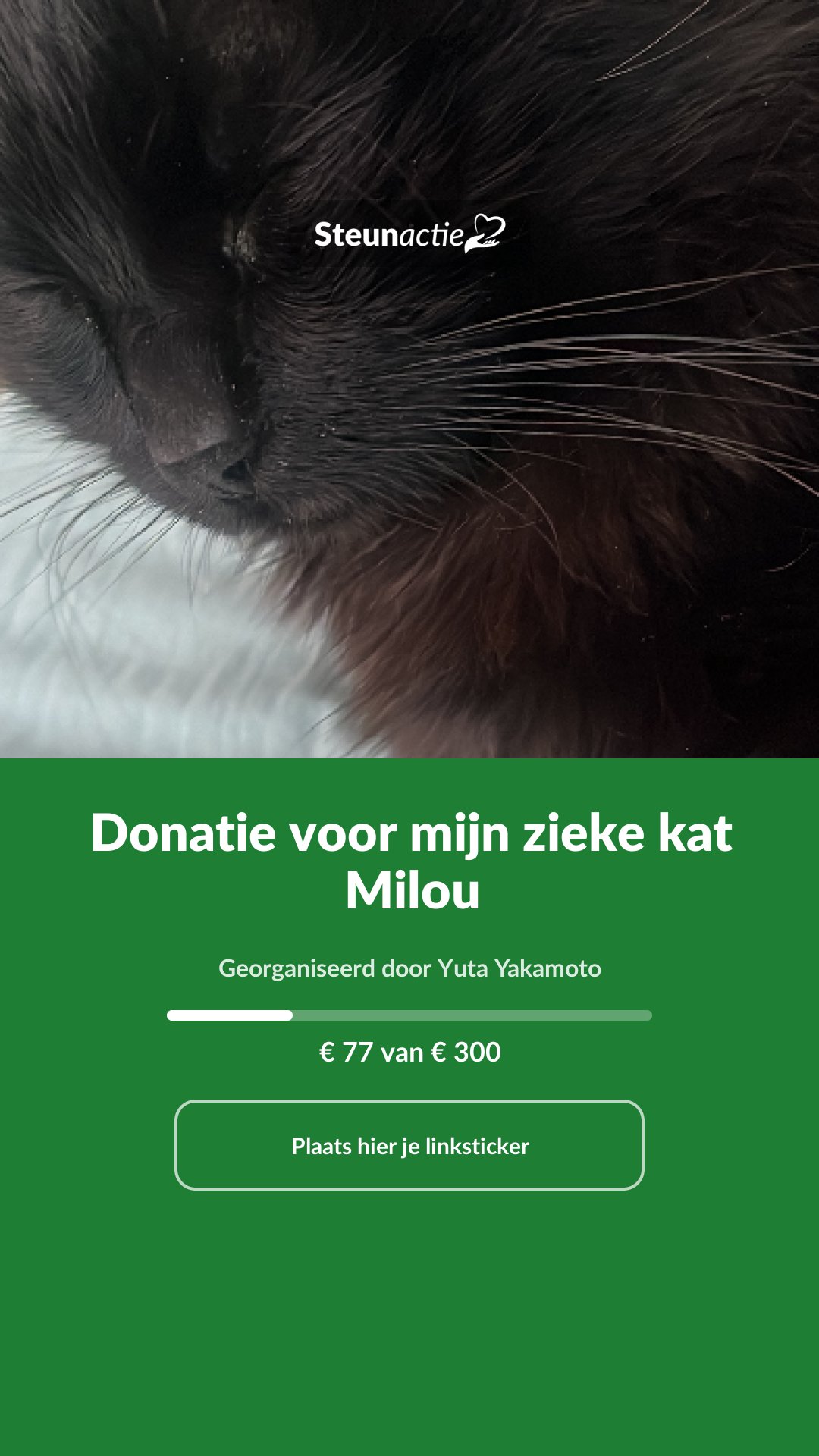 Voorbeeld van de afbeelding