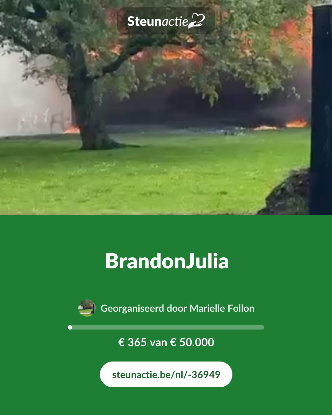 Voorbeeld van de afbeelding