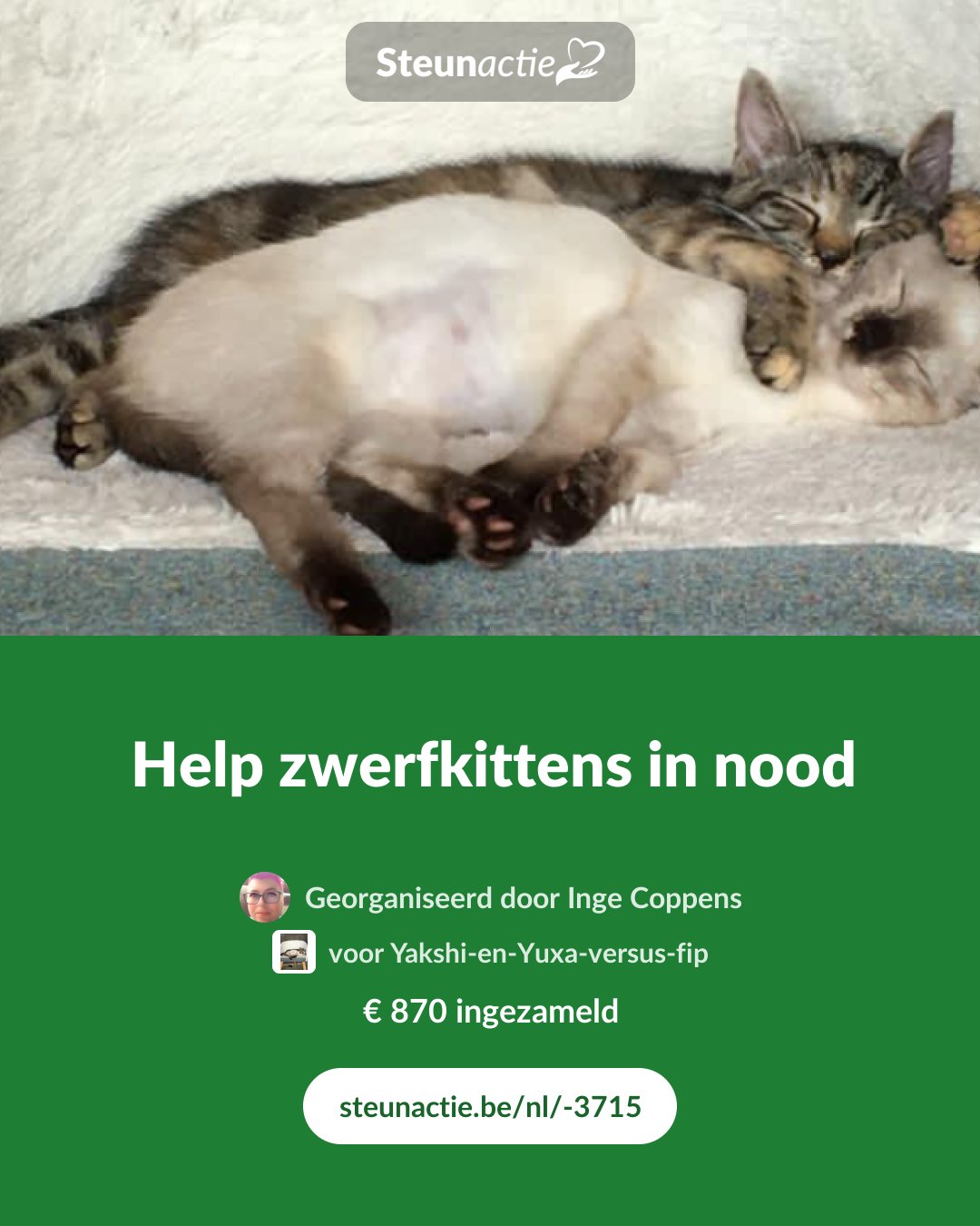 Voorbeeld van de afbeelding