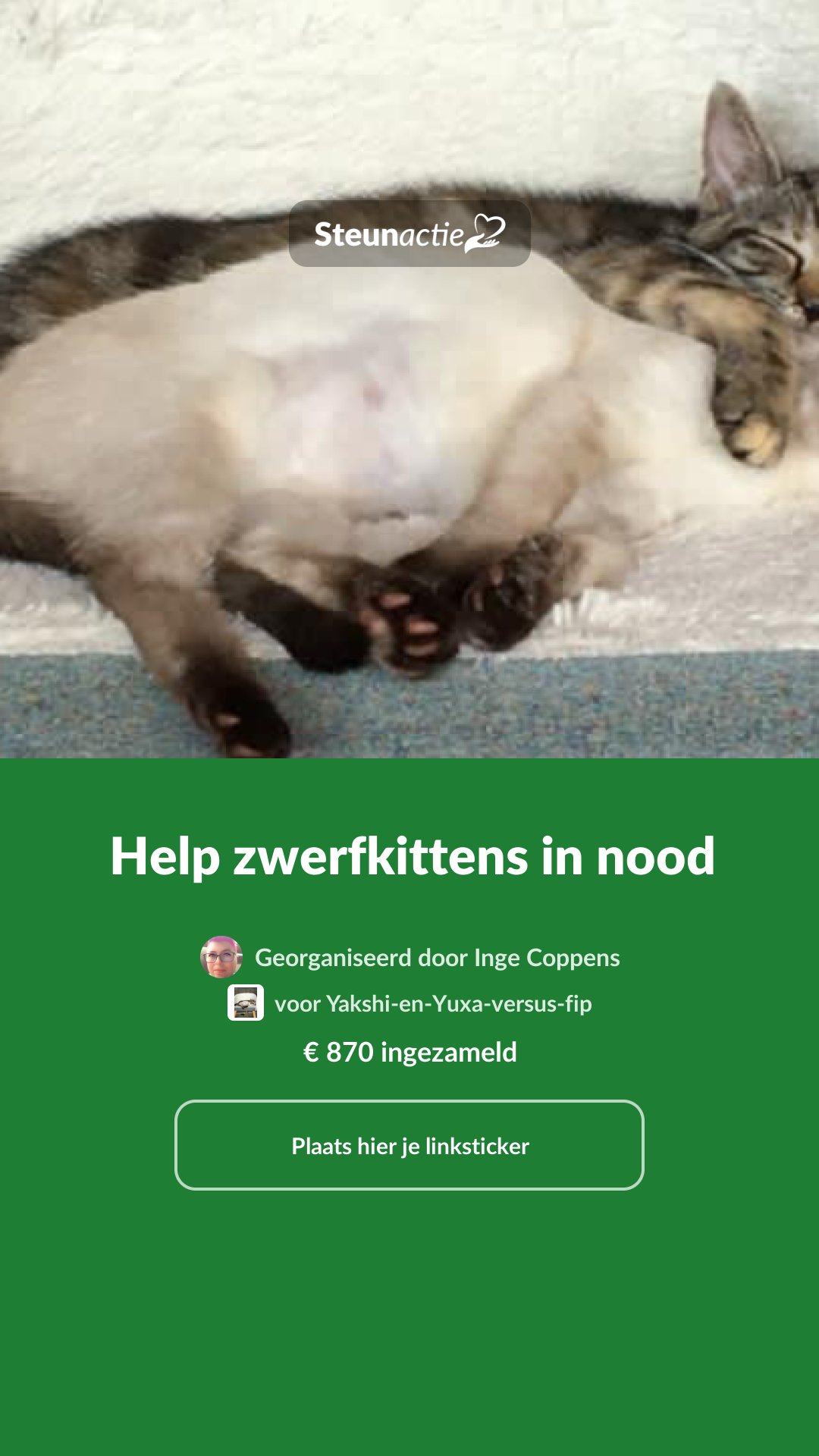 Voorbeeld van de afbeelding