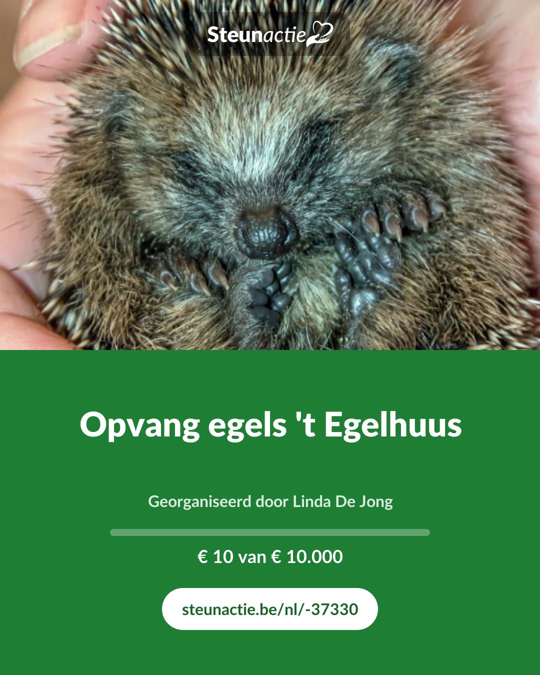 Voorbeeld van de afbeelding