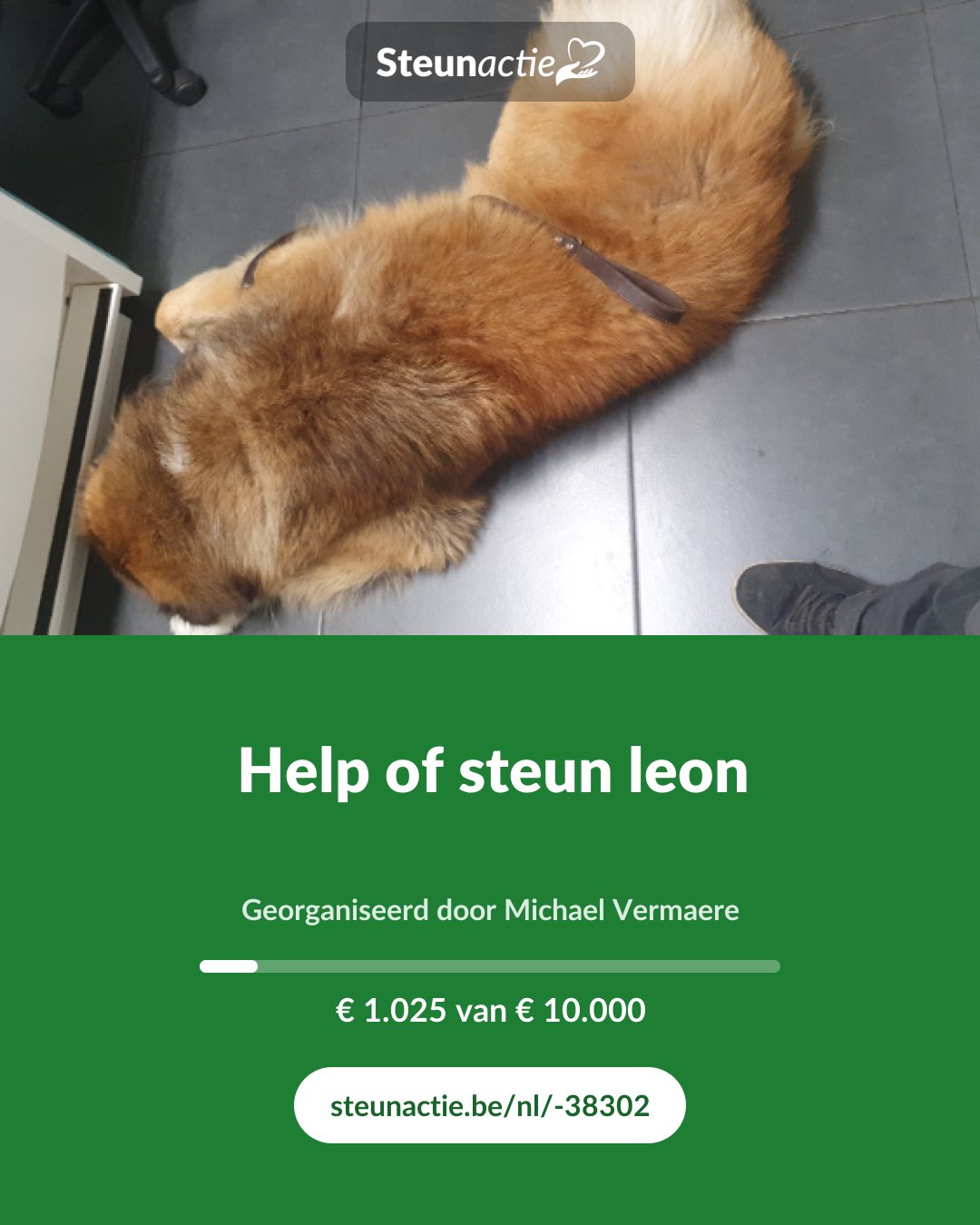Voorbeeld van de afbeelding
