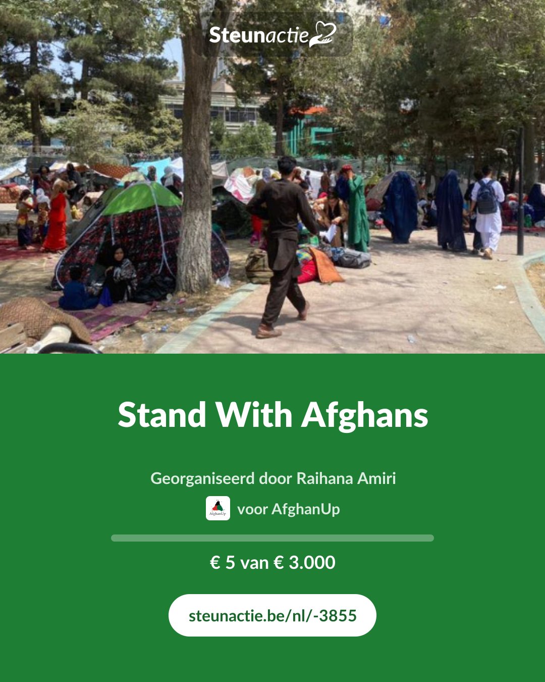 Voorbeeld van de afbeelding