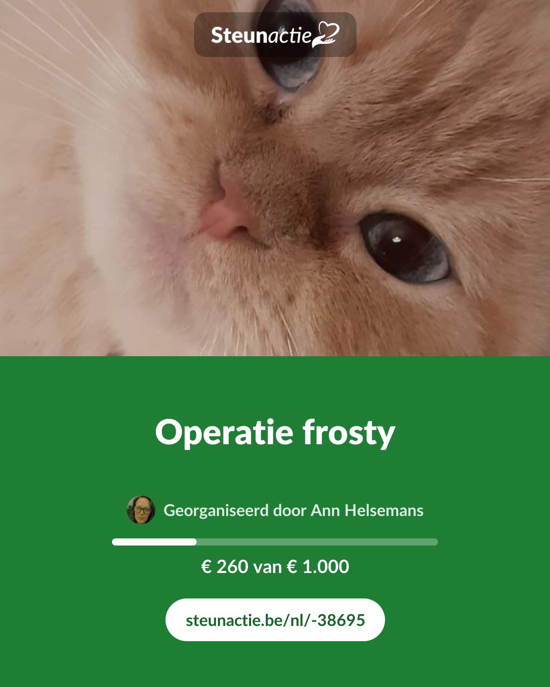 Voorbeeld van de afbeelding
