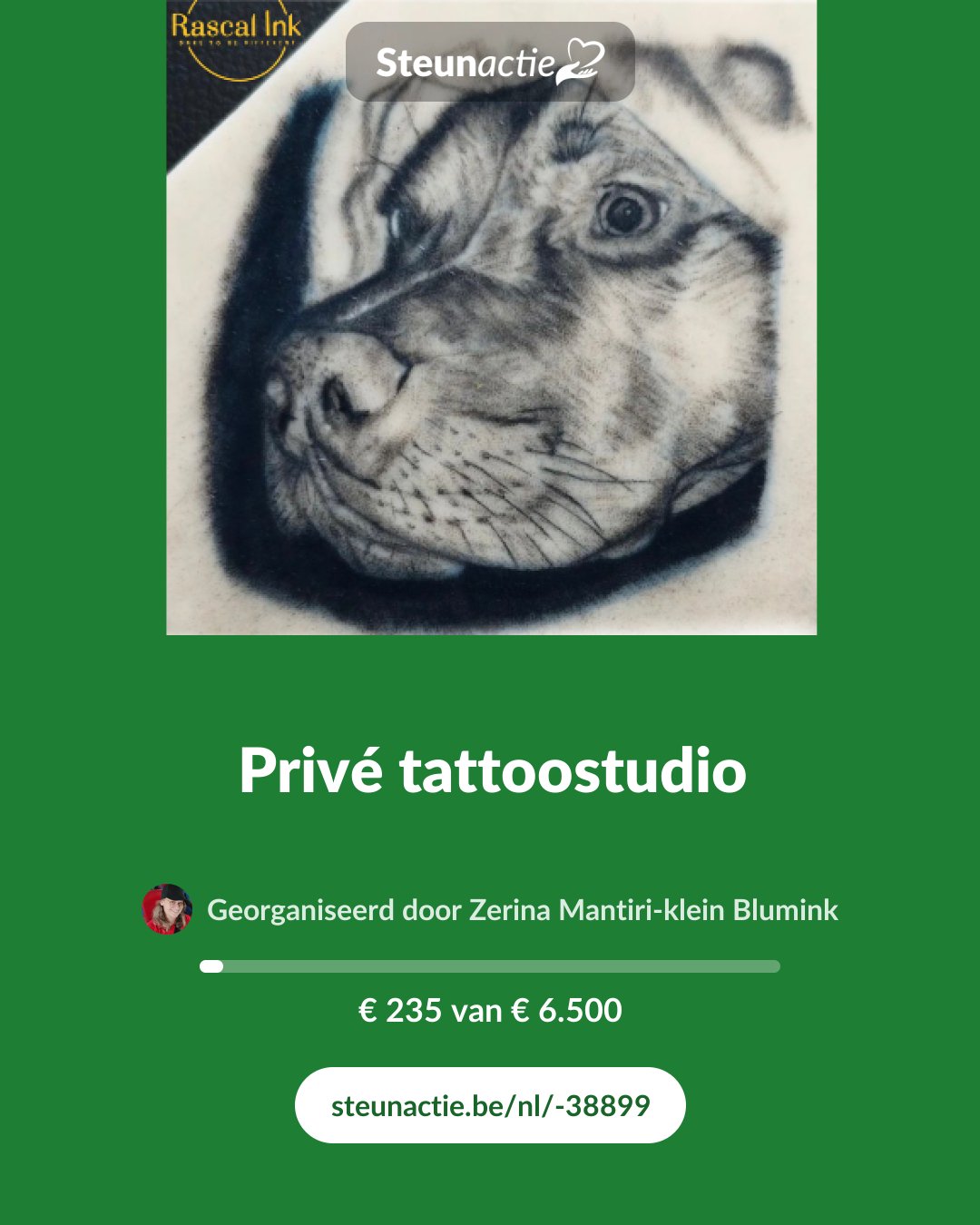Voorbeeld van de afbeelding