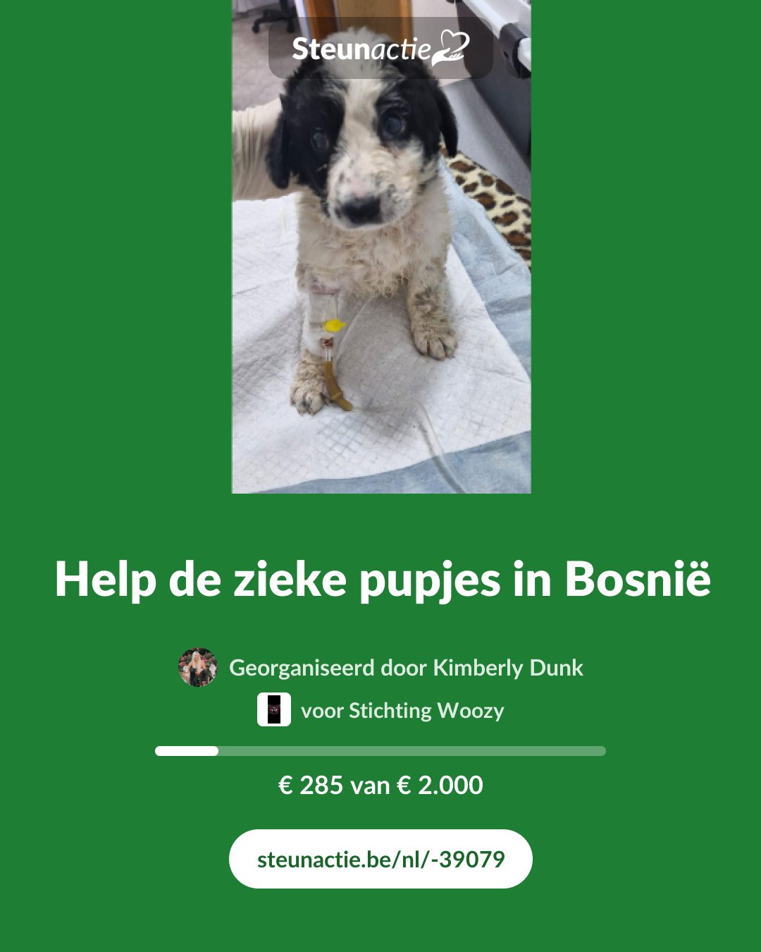 Voorbeeld van de afbeelding