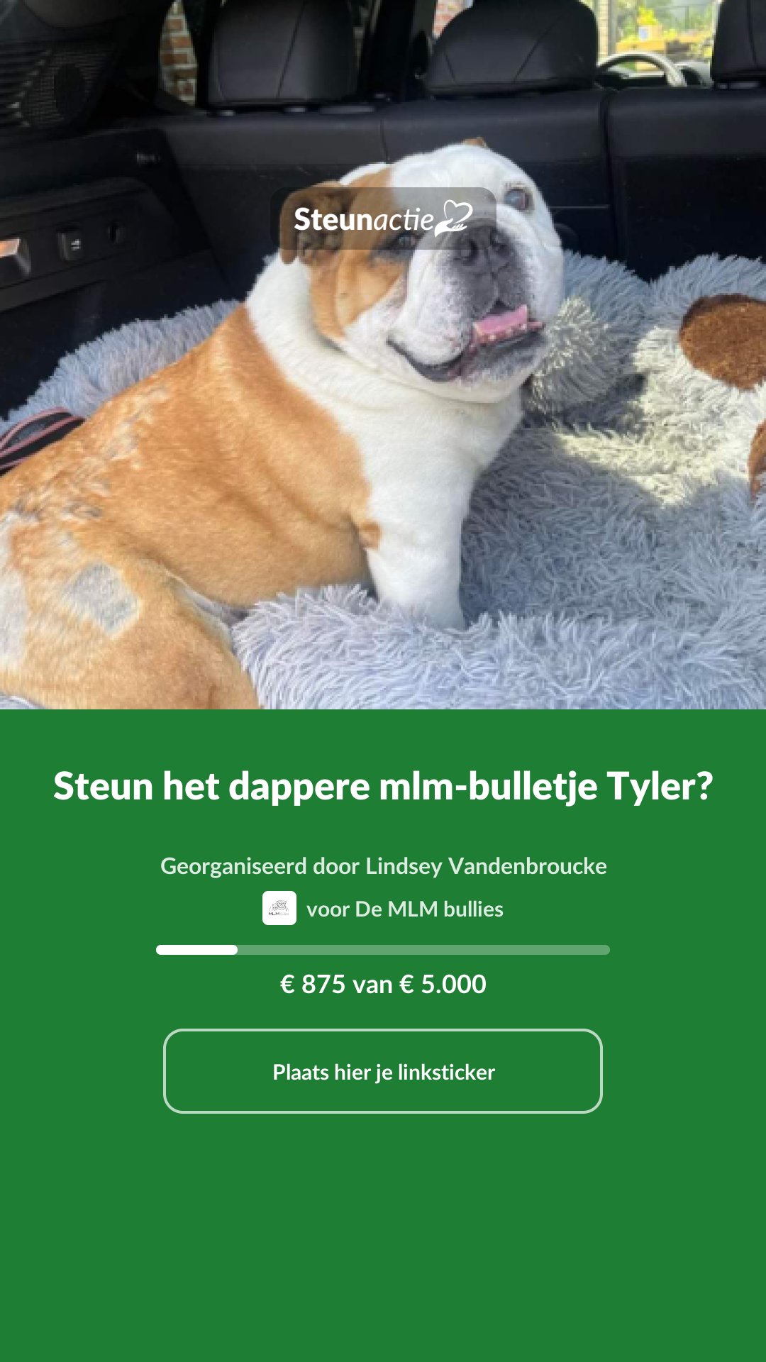 Voorbeeld van de afbeelding