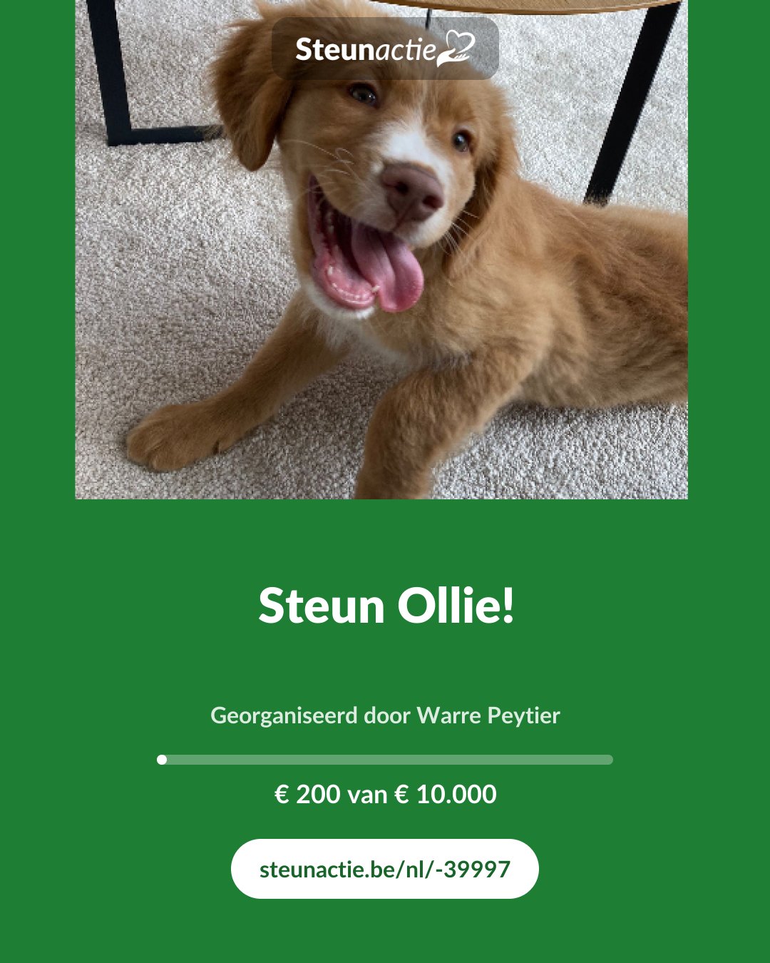 Voorbeeld van de afbeelding