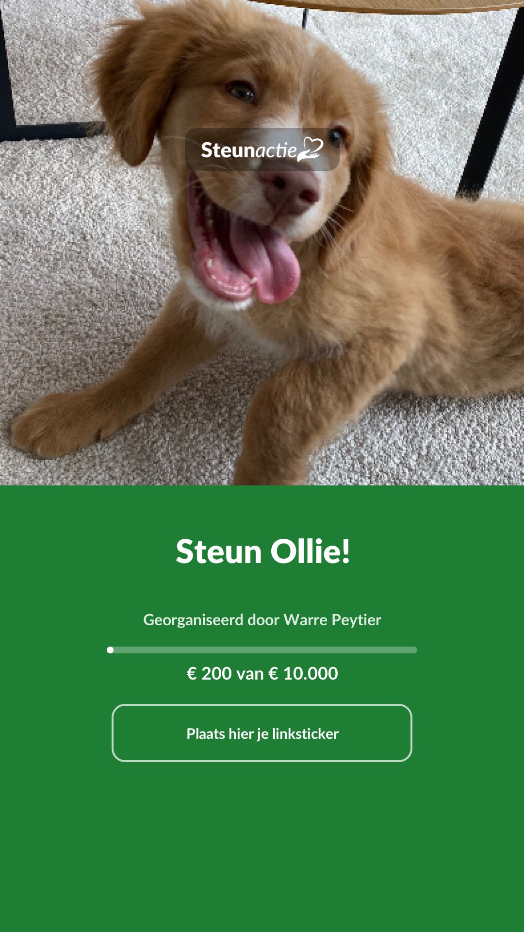 Voorbeeld van de afbeelding