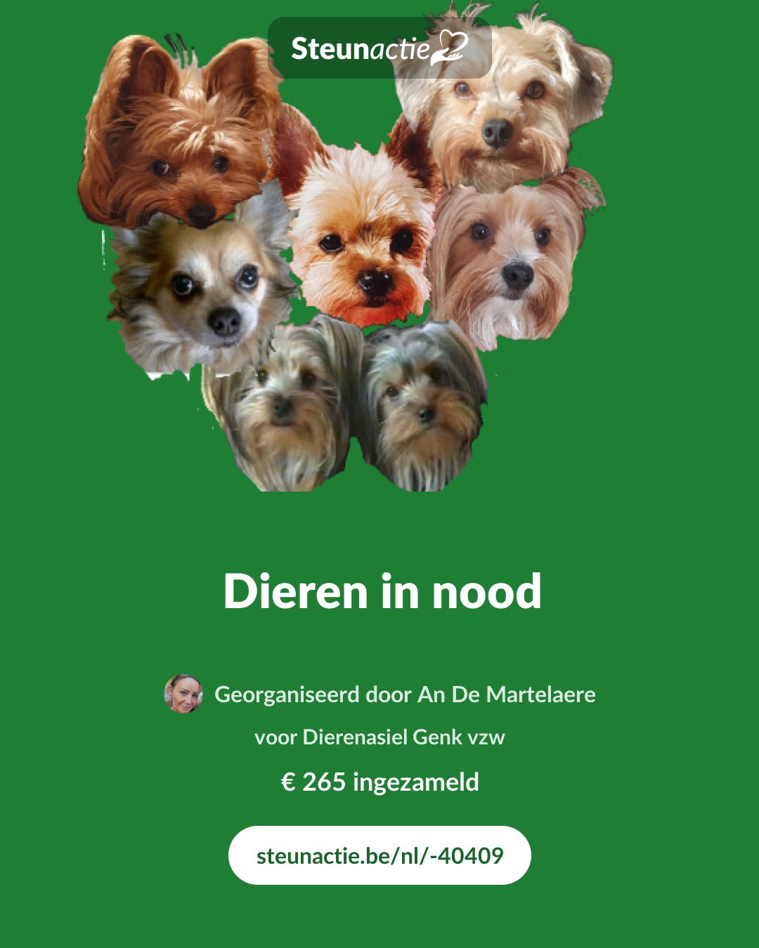 Voorbeeld van de afbeelding