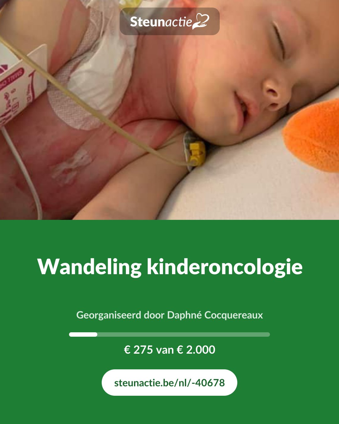Voorbeeld van de afbeelding