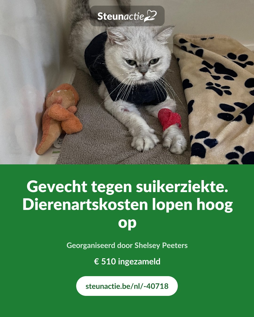 Voorbeeld van de afbeelding