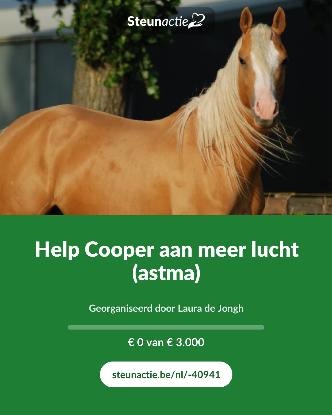 Voorbeeld van de afbeelding