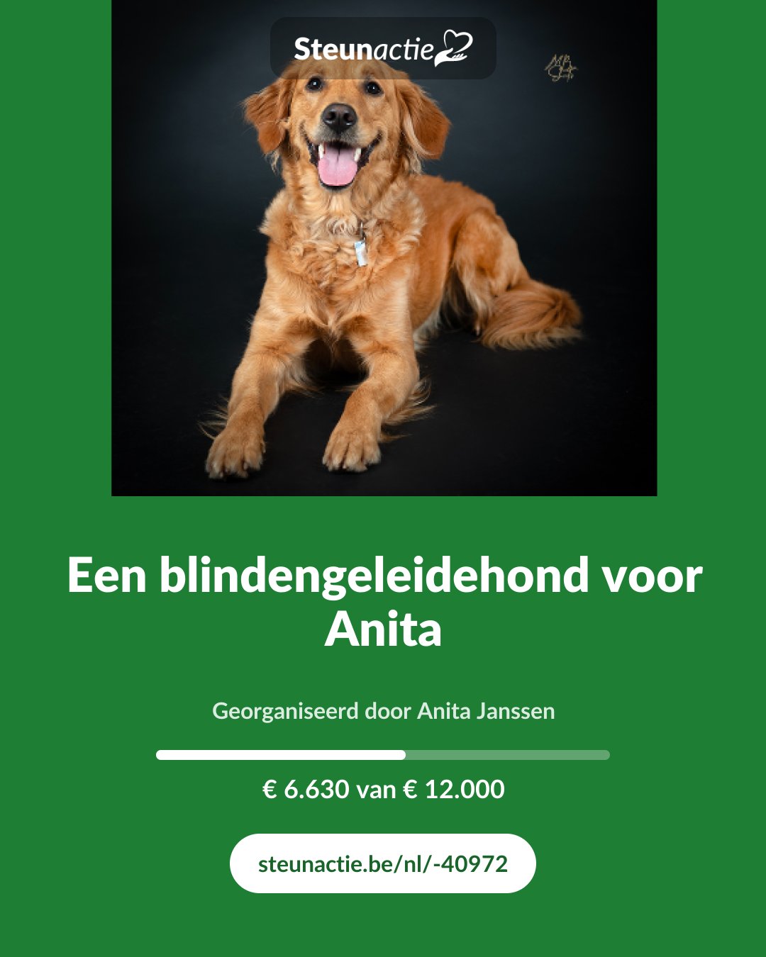 Voorbeeld van de afbeelding