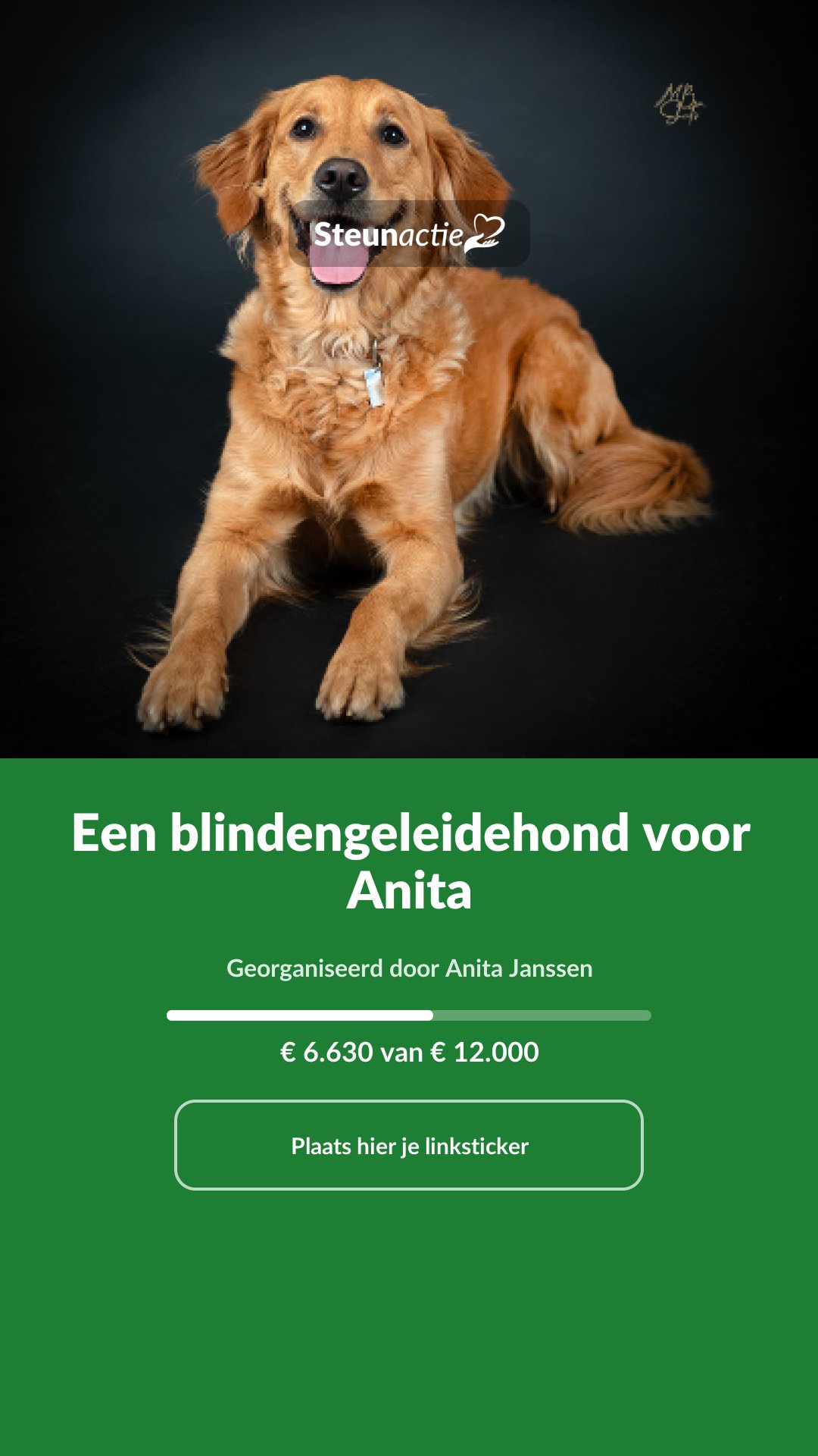 Voorbeeld van de afbeelding