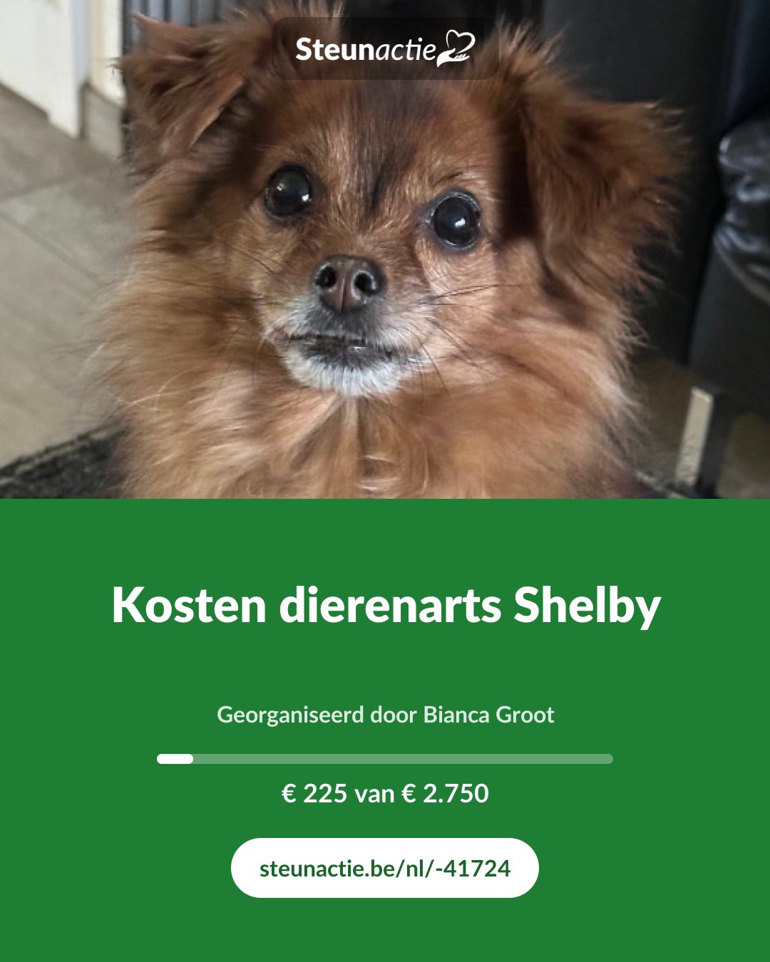 Voorbeeld van de afbeelding