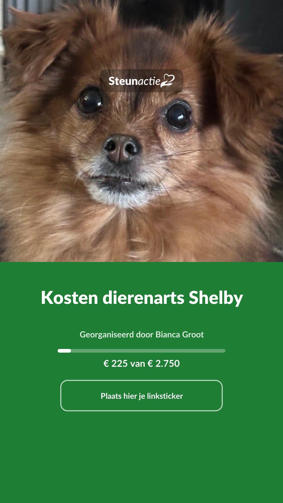 Voorbeeld van de afbeelding