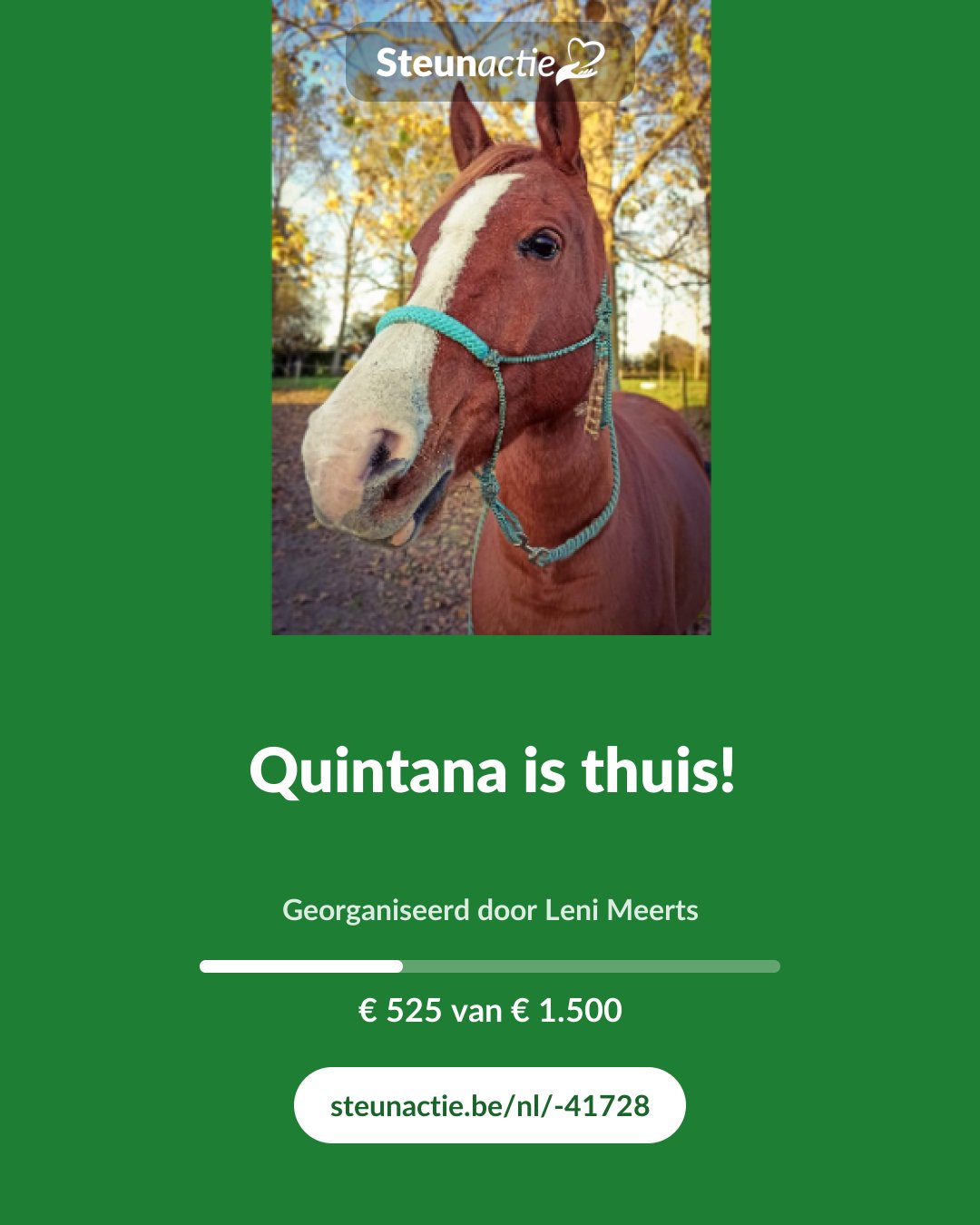 Voorbeeld van de afbeelding
