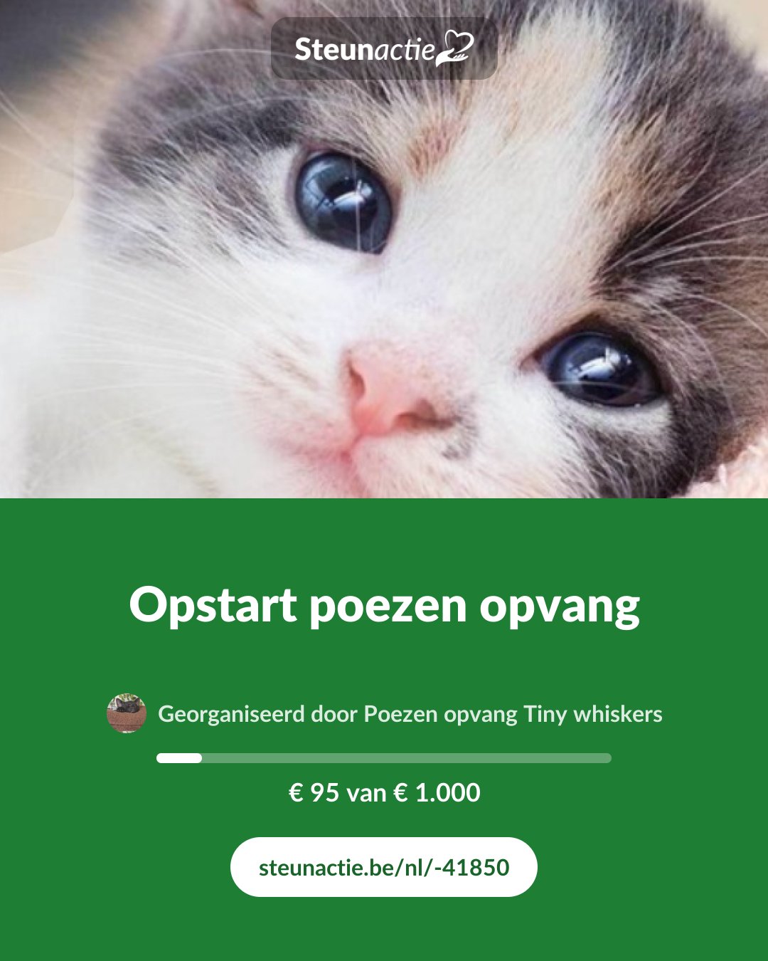 Voorbeeld van de afbeelding