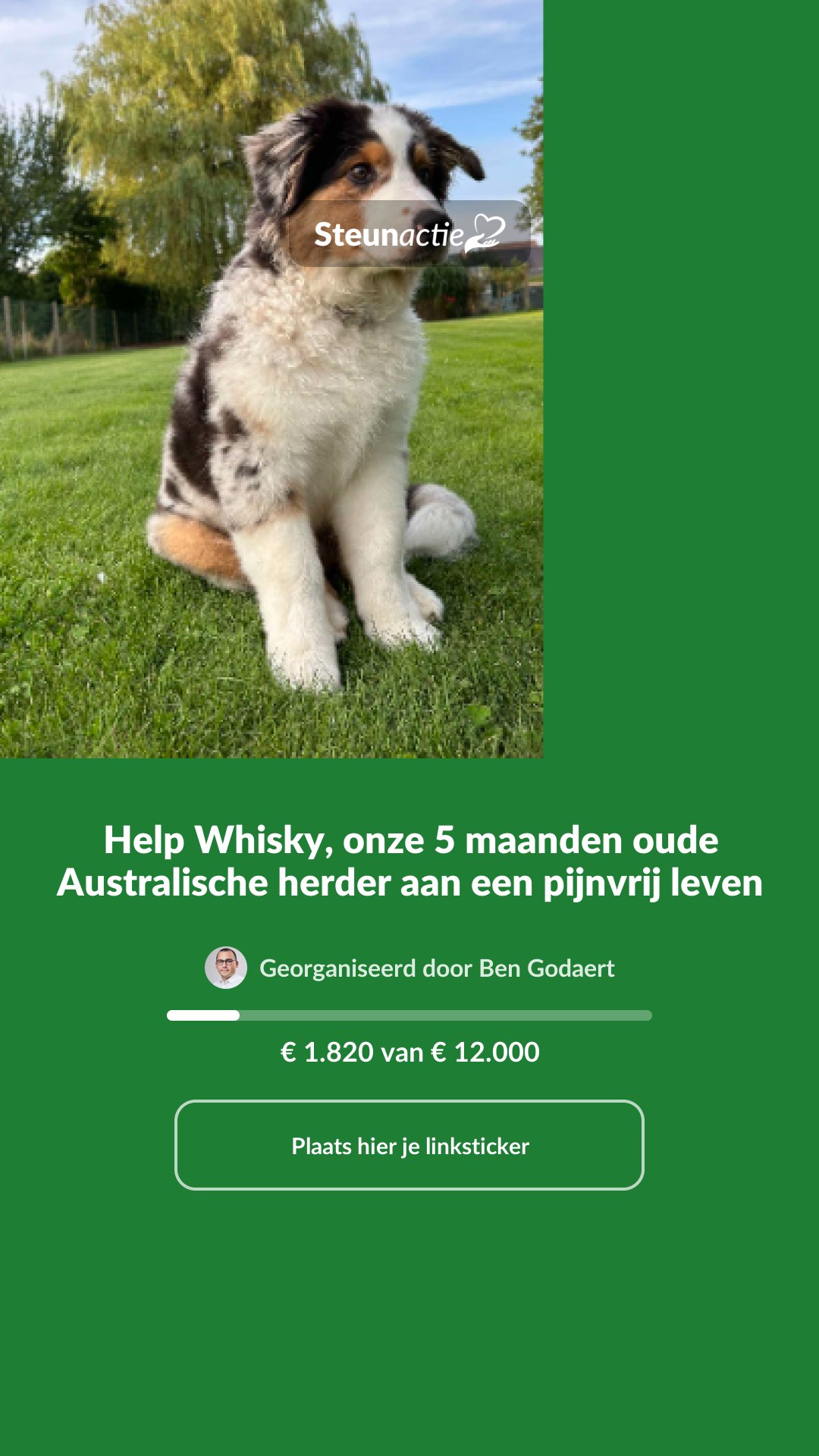 Voorbeeld van de afbeelding